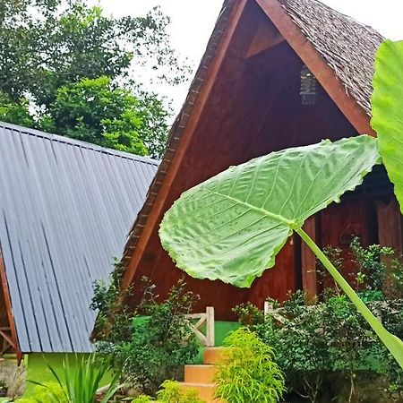 Green Forest Tangkahan Zewnętrze zdjęcie