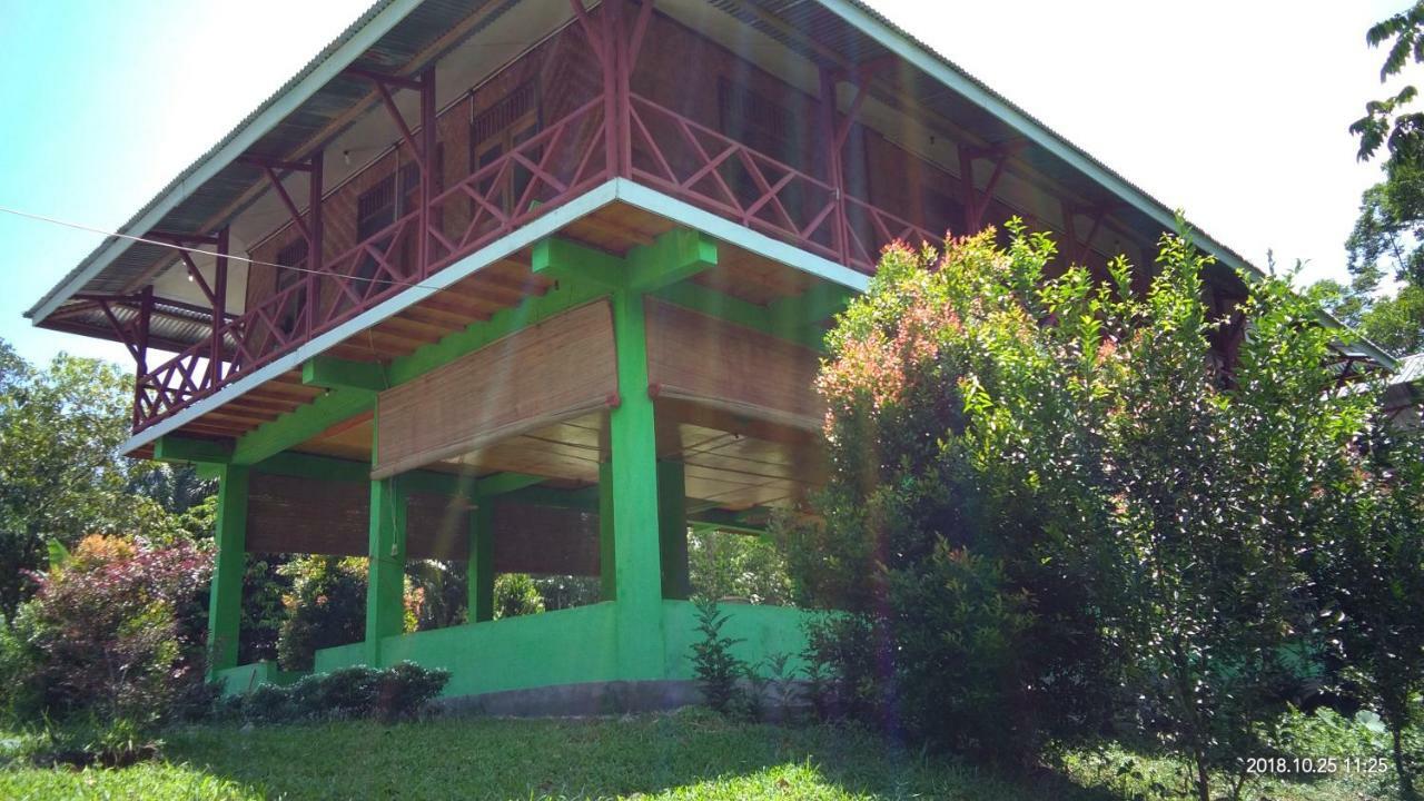 Green Forest Tangkahan Zewnętrze zdjęcie