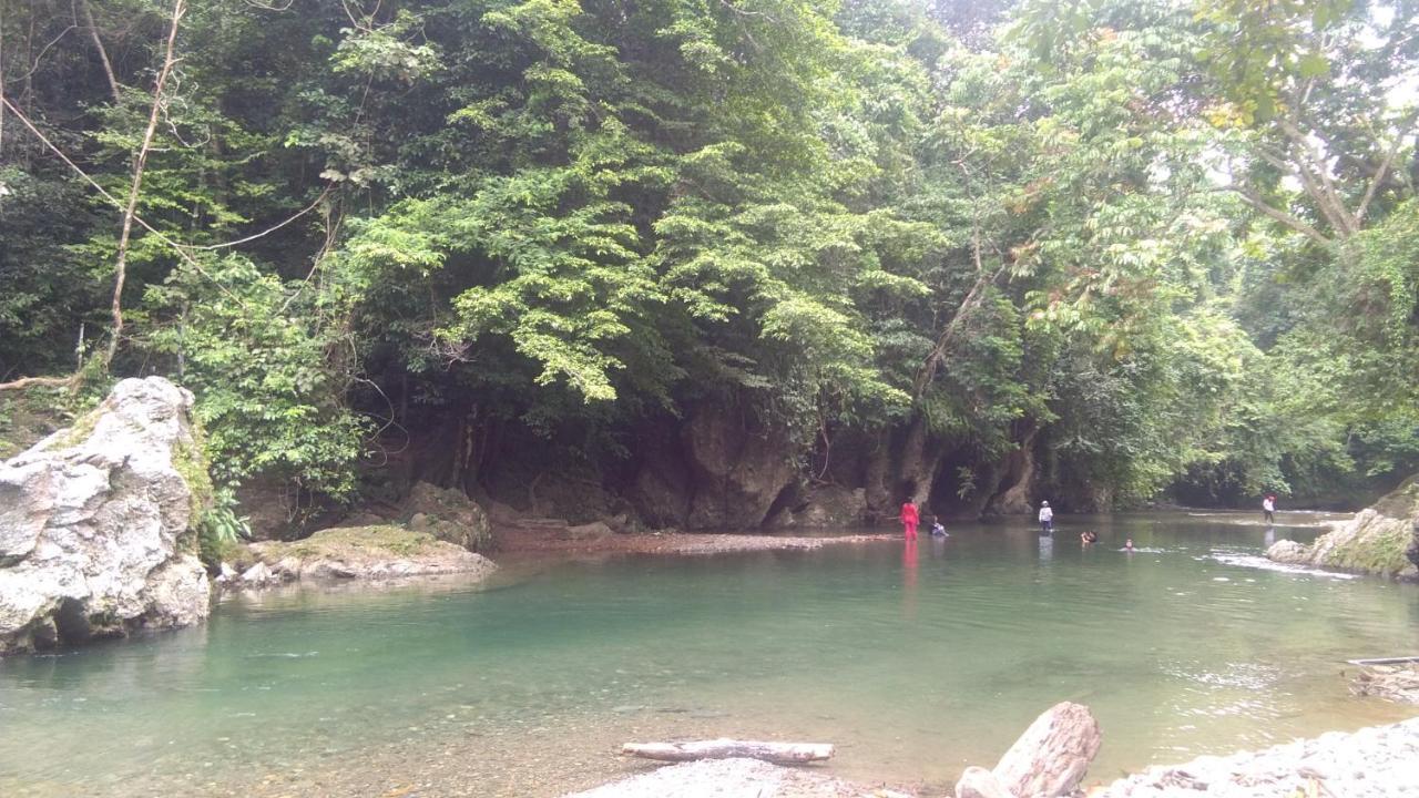 Green Forest Tangkahan Zewnętrze zdjęcie