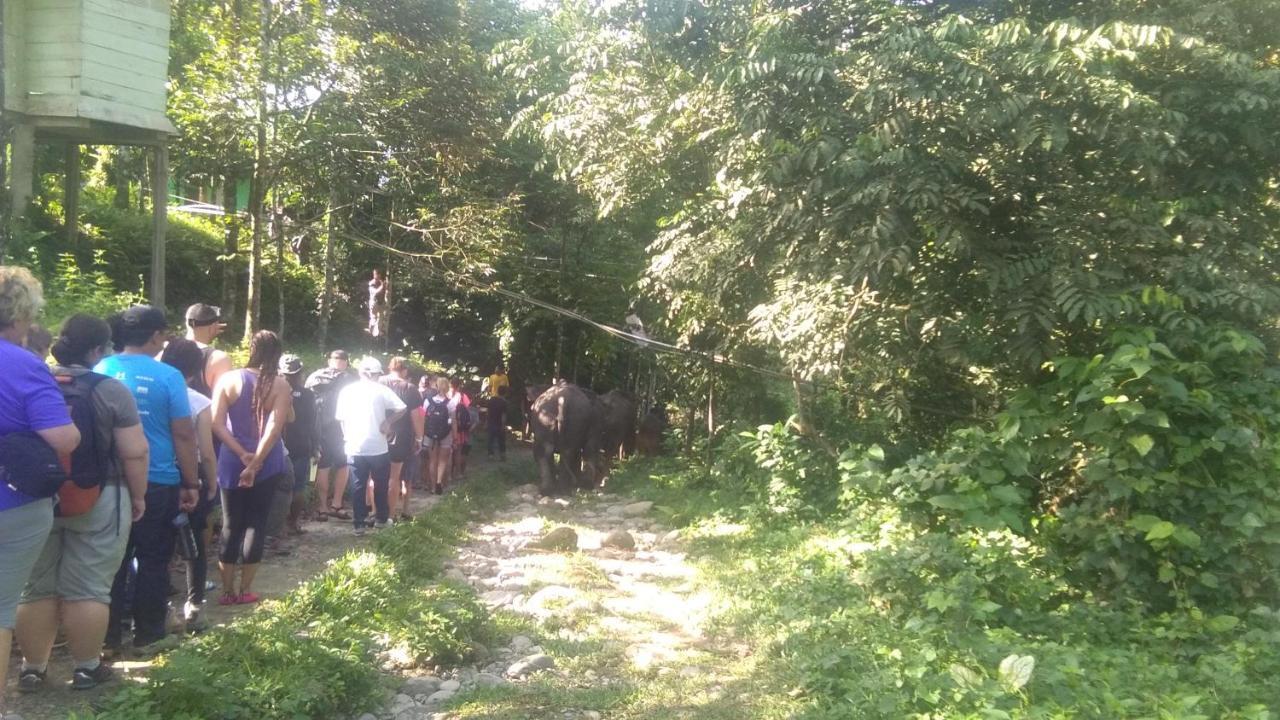 Green Forest Tangkahan Zewnętrze zdjęcie